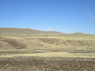 International Wonderful Travel In Peru