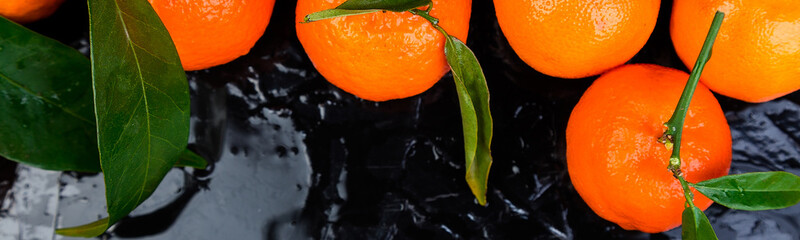 Banner of Tangerines background. Delicious and beautiful Citrus.