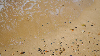 波打ち際の小石と貝