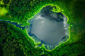 Top view of  blooming algae on the lake
