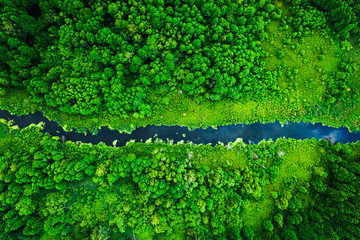 Stunning blooming algae on the river in summer, flying above