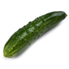 fresh juicy green cucumber with pimples on a white background