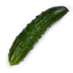 fresh juicy green cucumber with pimples on a white background