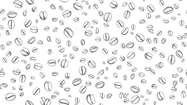 Drawn coffee bean seamless background. Pattern with falling coffee beans. Food doodle sketch backdrop