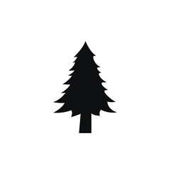 spruce icon vector simple design