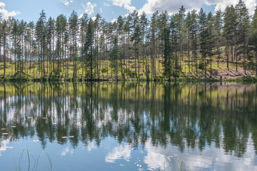 sky and tree reflection in secluded area by the lake. Calm waters and cloudy sky. Sweden. selective focus. long exposure