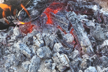 Flame background. bonfire close up picture. hike concept.