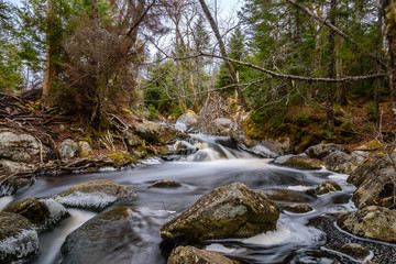 Forest landscape with small river cascade falls over mossy rocks. Atlantic Canada