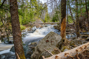 Forest landscape with small river cascade falls over mossy rocks. Atlantic Canada