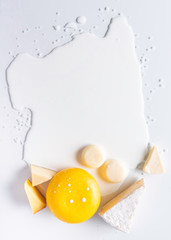 Various types of different cheese on puddle of milk background