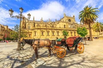 Spanish horse parked in front of Seville Cathedral, a Roman Catholic cathedral and largest Gothic...