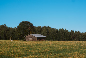 Fototapeta premium Lonely barn by the road in the Sweden