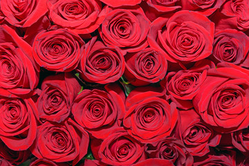 Background of bouquets of flowers. Roses. Design. Close up.