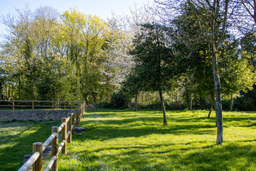 Fototapeta premium View of a wooden fence in a park. Garden with trees and vegetation in spring. Sunny landscape with a lawn.