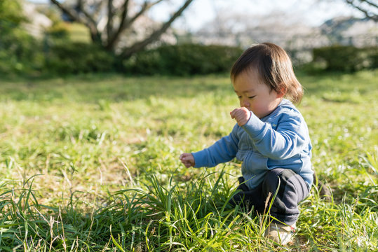 「むしる」の写真素材 | 50件の無料イラスト画像 | Adobe Stock