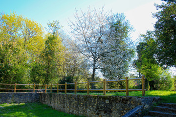 View of a wooden fence in a park. Garden with trees and vegetation in spring. Sunny landscape with a lawn.