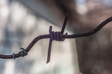 barbed wire on a fence. concept of freedom, people right day.