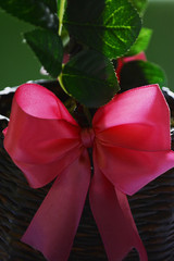 satin pink bow on the gift basket, beautiful interior details