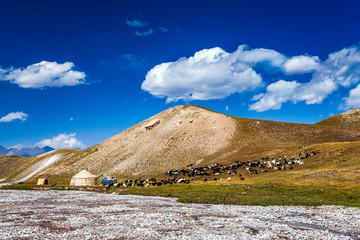 The shepherd's hut and grazing goats at the foot of the mountain. Beautiful landscape. Kyrgyz...