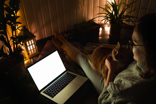 Woman With Cat In The Evening Watching A Show On A Laptop