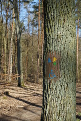 Wegzeichen: Rollstuhlwandern in Berlin