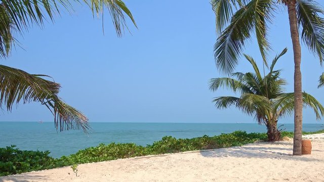 Tropical beach with coconut palms seaside in Thailand
