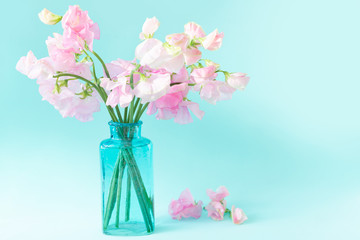 Bouquet of soft pink sweet peas Lathyrus in beautiful transparent vase on blue background.Copy...
