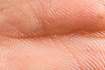 Close up human skin. Macro epidermis