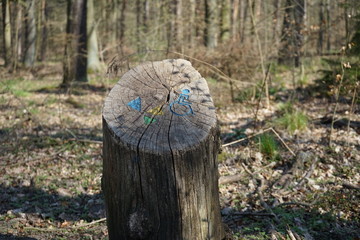 Baumstumpf mit Markierung für einen rollstuhlgerechten Wanderweg