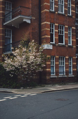 Fototapeta premium London Street 