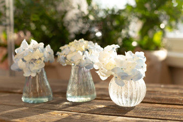 Decoration of blooming blue hydrangea, sweet pea Lathyrus, bush roses in small crystal vases on wooden background. Design,creative.International Women's Day,March 8 and Valentine's Day,14 of February