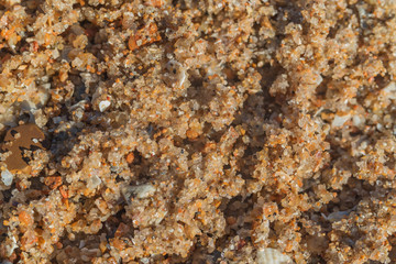 desert sand texture Accona, macro, there is a place for text