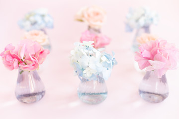 Decoration of blooming blue hydrangea, sweet pea Lathyrus, bush roses in small crystal vases on pink background. Design, Creative. International Women's Day,March 8 and Valentine's Day,14 of February