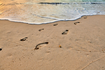 Fototapeta na wymiar Ffootprints of adult and child on the beach