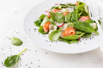 Salmon Salad with Vitamins in vegetables, herbs radish,and spinach