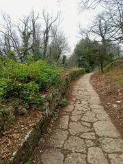 Fototapeta na wymiar Ancient path in the forest
