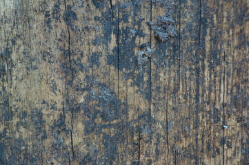 old wood texture
