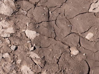 Dürre Trockenheit Boden in Deutschland