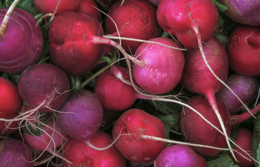 fresh red radishes in a pile, on display and for sale at a stall at the farmer's market in Venice, CA