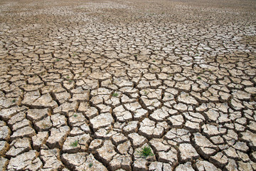 Soil drought cracked landscape for background texture.