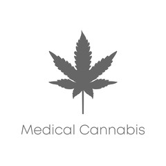 Medical flat cannabis on white background