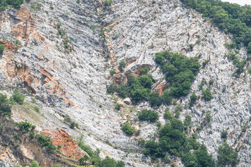 Rocky mountain and  green forest  in day time  feeling storng