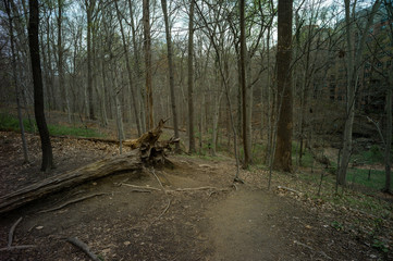 SoapStone Valley, Washington DC April 1, 2020