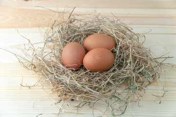 Fresh brown chicken eggs in hay nest on blue wooden background. Concept of organic eggs, free space for text or other elements