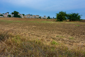 Fototapeta na wymiar Empty plowed field after the harvest