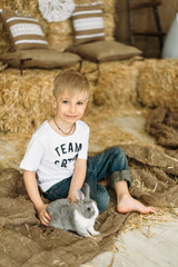little boy playing with rabbit