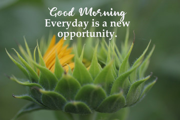 Inspirational quote - Good morning. Everyday is a new opportunity. With Big young sunflower head...