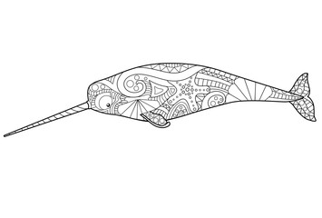 Narwhal - marine mammal coloring antistress - vector linear picture for coloring. A male unicorn-fish with a long tusk is an underwater animal for a coloring book. Outline.