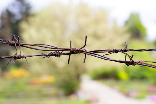 Barbed wire protects from nature
