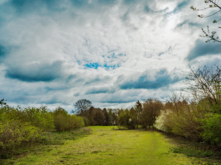 OLYMPUS DIGITAL CAMERA - BLUE CLOUDS